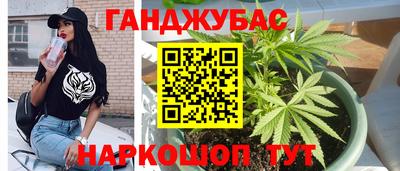 гидра Лесосибирск