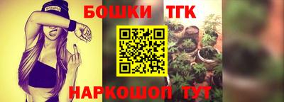 гидра Лесосибирск
