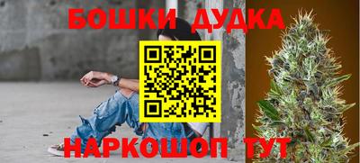 гидра Лесосибирск