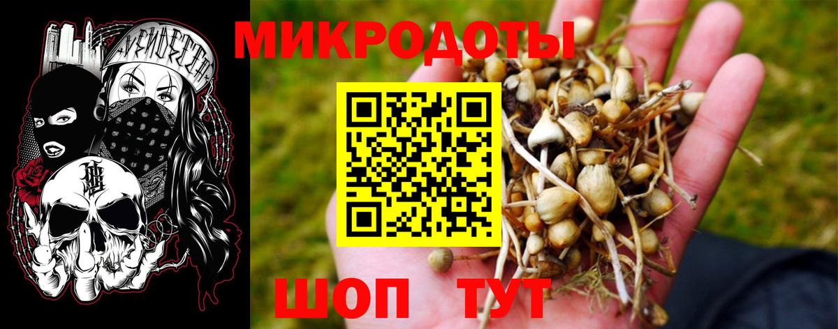 Псилоцибиновые грибы прущие грибы  Вход с VPN  Псилоцибиновые грибы мухоморы  Губаха 