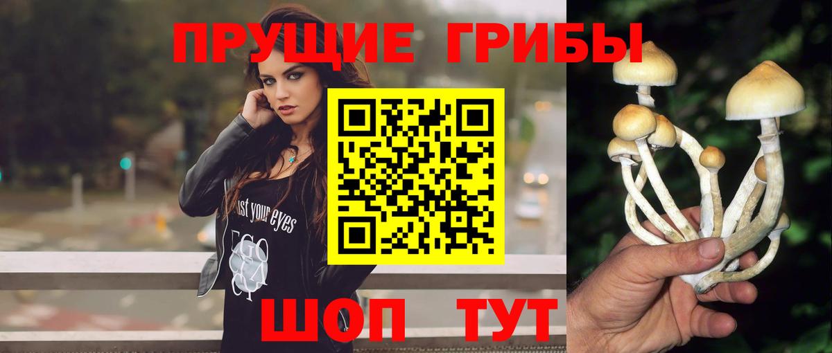 Галлюциногенные грибы GOLDEN TEACHER Губаха
